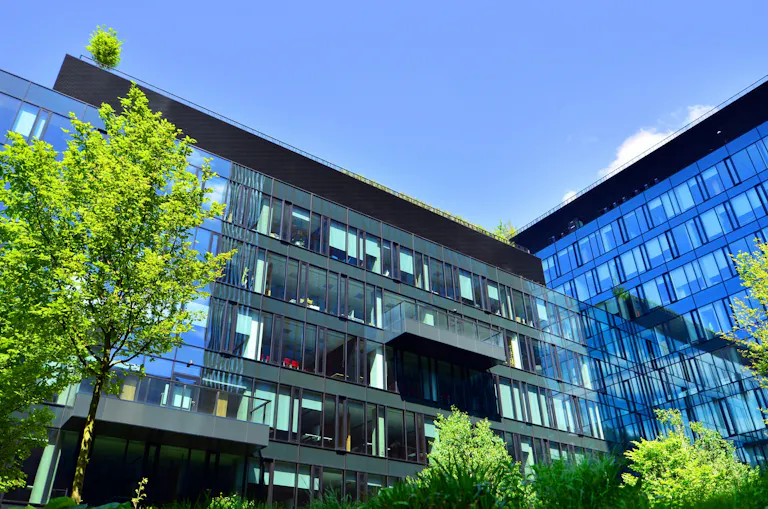 A commercial building surrounded with trees
